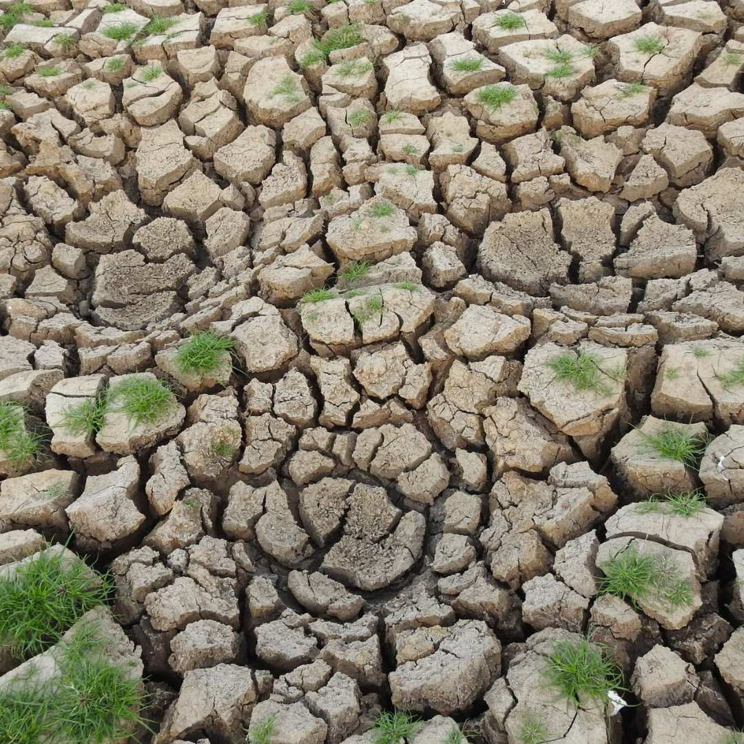 Climate Change and Our Communities: Preparing for Hotter Summers and Unpredictable Winters